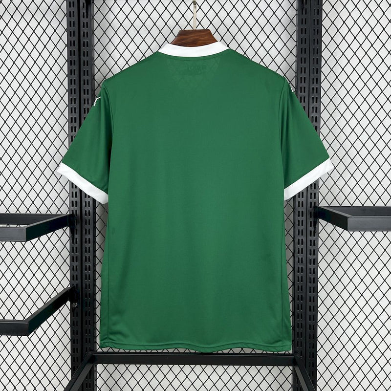 Camisa Oficial do Palmeiras 25/26 - Versão Torcedor