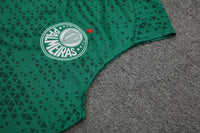 Kit Oficial do Palmeiras 24/25 - Treino