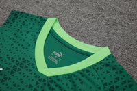 Kit Oficial do Palmeiras 24/25 - Treino