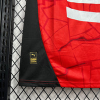 Camisa Oficial do Rennes 24/25 - Versão Torcedor