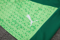 Kit Oficial do Palmeiras 24/25 - Treino