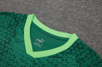 Kit Oficial do Palmeiras 24/25 - Treino