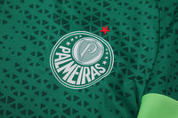 Kit Oficial do Palmeiras 24/25 - Treino