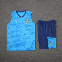 Kit Oficial do Palmeiras 24/25 - Treino