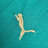 Regata Oficial do Palmeiras 24/25 - Versão Torcedor