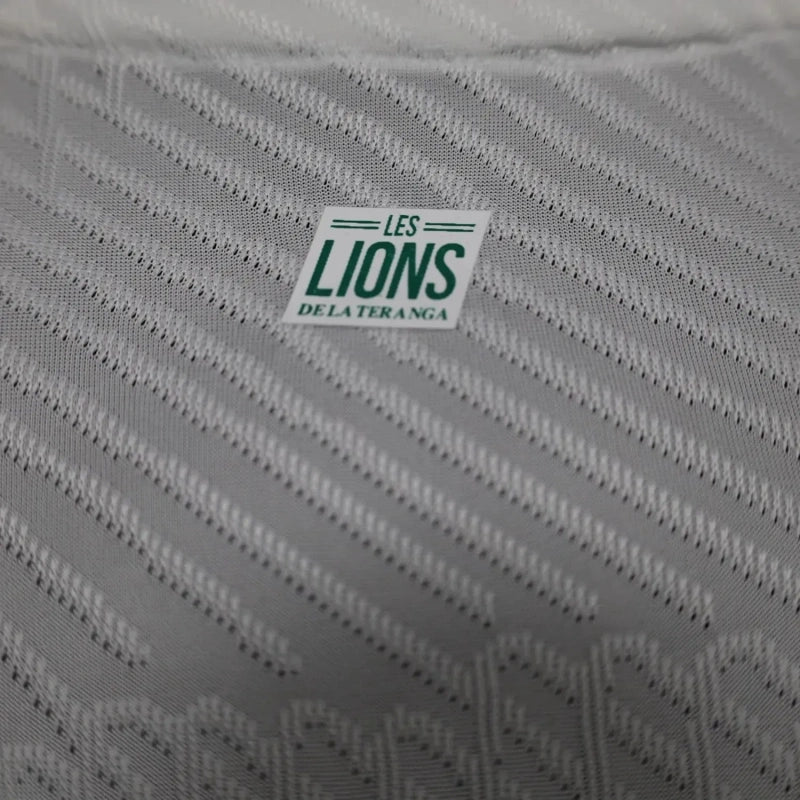 Camisa Oficial do Senegeal 24/25 - Versão Jogador