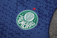 Kit Oficial do Palmeiras 24/25 - Treino