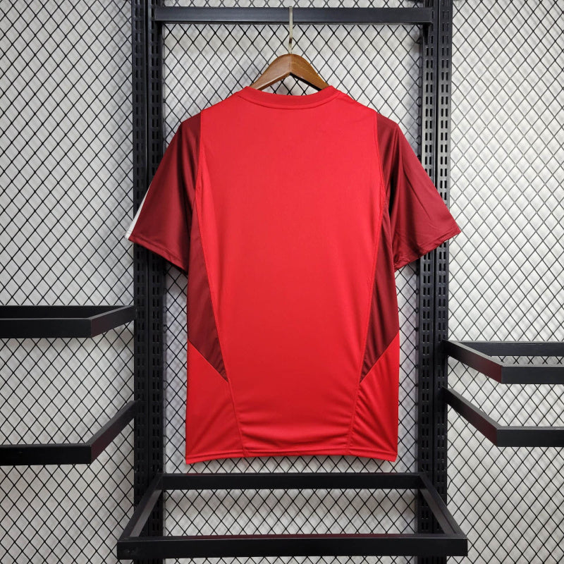 Camisa Oficial do Internacional 24/25 Versão Torcedor - Treino
