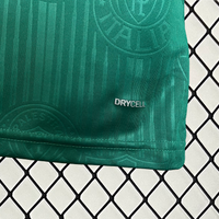 Camisa Oficial do Palmeiras 24/25 Versão Torcedor - Completa com Patrocínios e Pacth