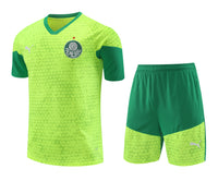 Kit Ofiical do Palmeiras 24/25 - Treino
