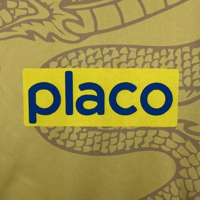 Camisa Oficial Santos 25/26 Versão Torcedor - Completa com Patrocínios