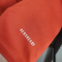 Camisa Oficial do Cruzeiro 24/25 Versão Torcedor - Treino