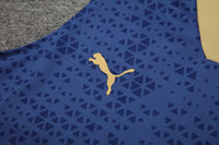 Kit Oficial do Palmeiras 24/25 - Treino