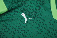 Kit Oficial do Palmeiras 24/25 - Treino