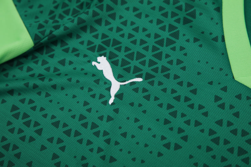 Kit Oficial do Palmeiras 24/25 - Treino