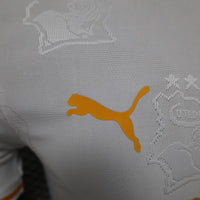 Camisa Oficial da Costa do Marfim 25/26 - Versão Jogador