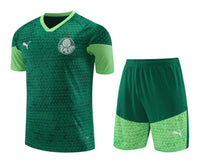 Kit Oficial do Palmeiras 24/25 - Treino