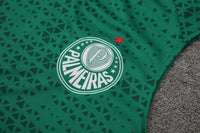 Kit Oficial do Palmeiras 24/25 - Treino