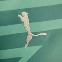 Camisa Oficial do Palmeiras 24/25 Versão Torcedor - Goleiro