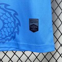 Camisa Oficial Santos 25/26 Versão Torcedor - Completa com Patrocínios