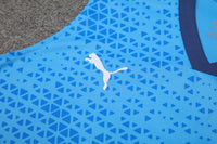 Kit Oficial do Palmeiras 24/25 - Treino