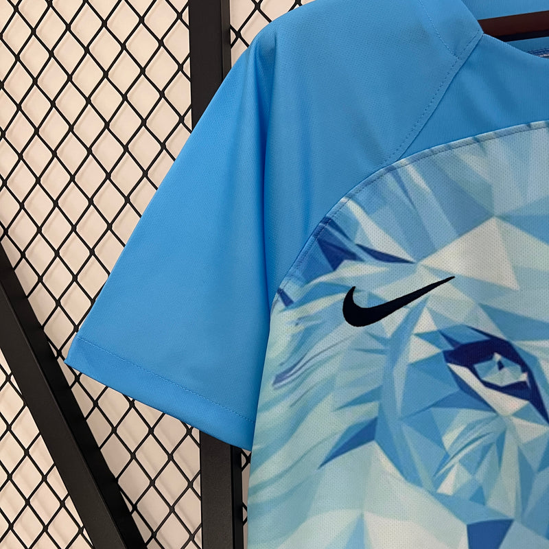 Camisa Oficial da Holanda 24/25 Versão - Edição Especial