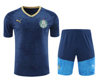 Kit Oficial do Palmeiras 24/25 - Treino
