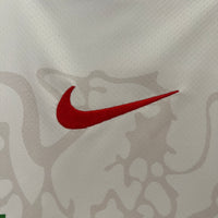 Camisa Oficial da Nigéria 24/25 - Versão Torcedor