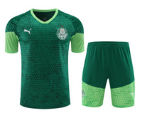 Kit Oficial do Palmeiras 24/25 - Treino