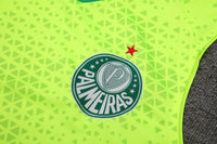 Kit Oficial do Palmeiras 24/25 - Treino