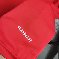 Camisa Oficial do Internacional 24/25 Versão Torcedor - Treino