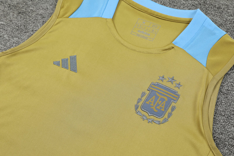 Kit Oficial da Argentina 24/25 - Treino