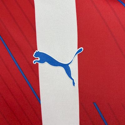 Camisa Oficial do Paraguai 25/26 - Versão Torcedor
