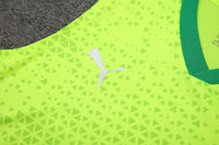 Kit Oficial do Palmeiras 24/25 - Treino