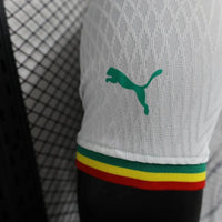 Camisa Oficial do Senegeal 24/25 - Versão Jogador