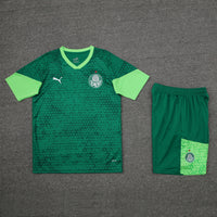 Kit Oficial do Palmeiras 24/25 - Treino