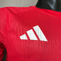 Camisa do Japão 26/27 Versão Jogador - Goleiro