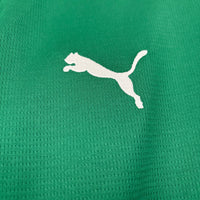 Camisa Oficial do Palmeiras 26/27 - Versão Torcedor