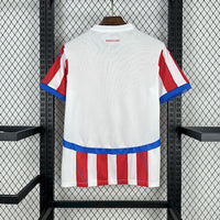 Camisa Oficial do Paraguai 25/26 - Versão Torcedor