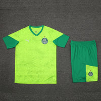 Kit Ofiical do Palmeiras 24/25 - Treino