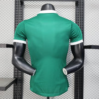 Camisa Oficial do Palmeiras 25/26 - Versão Jogador