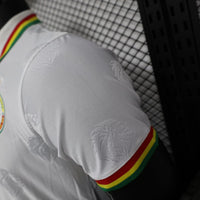 Camisa Oficial do Senegal 24/25 Versão Torcedor - Polo