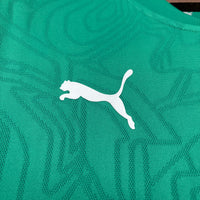 Camisa Oficial do Fluminense 26/27 - Treino