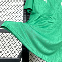 Camisa Oficial do Palmeiras 25/26 - Treino