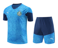 Kit Oficial do Palmeiras 24/25 - Treino