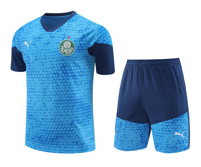 Kit Oficial do Palmeiras 24/25 - Treino