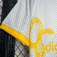 Camisa da Inter de Milão 24/25 Versão Torcedor - Edição Especial