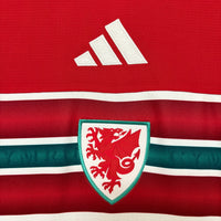 Camisa Oficial do País de Gales 26/27 - Versão Torcedor