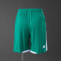 Short Oficial da Irlanda do Norte 26/26