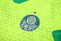 Kit Ofiical do Palmeiras 24/25 - Treino